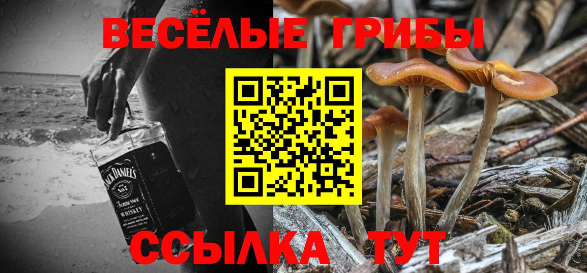 Галлюциногенные грибы Cubensis  Вход с VPN  Псилоцибиновые грибы мухоморы  Ногинск 