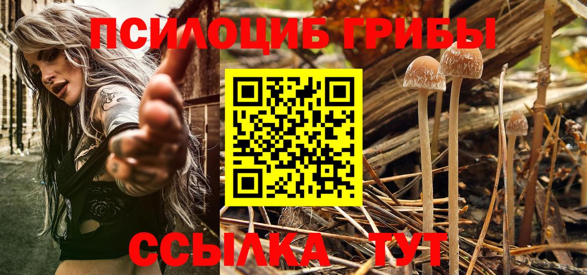 Псилоцибиновые грибы Cubensis Ногинск